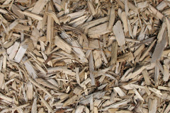 biomass boilers Astwood